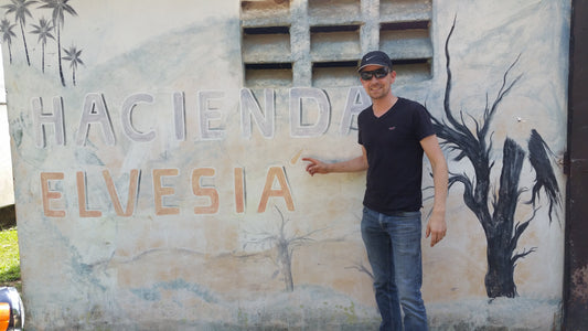 Finca Elvesia: A Legacy of Swiss Roots and Dominican Cacao Excellence